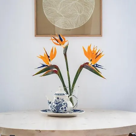 Oikia Gospodarstwo wiejskie Stafylos